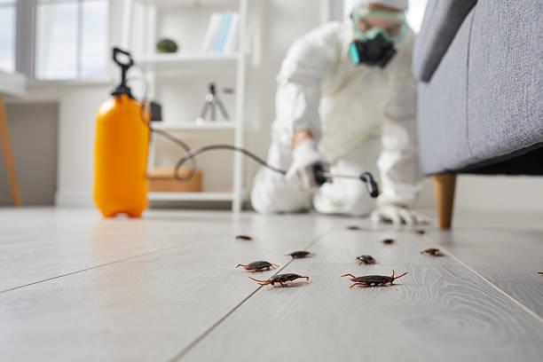 Trusted Fumigation Services service in Kettle Falls, WA - Nex Pest Control