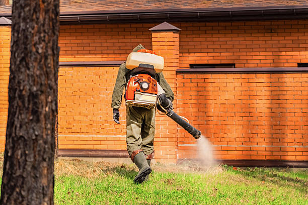 Trusted Rodent Control service in Kettle Falls, WA - Nex Pest Control